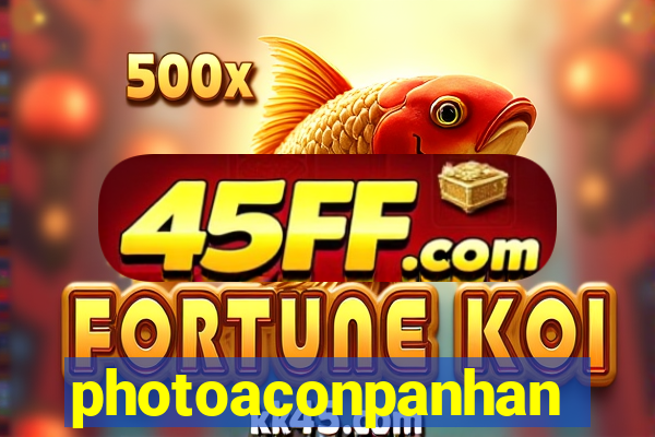 photoaconpanhante.