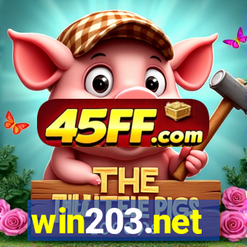 win203.net